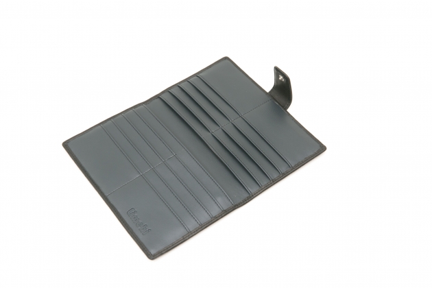 Passport Wallet 2