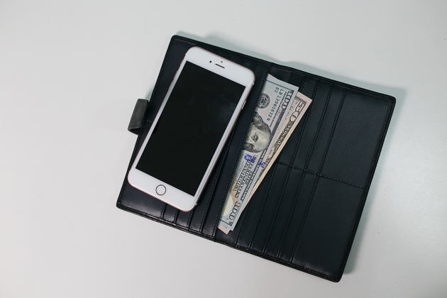Passport Wallet 4